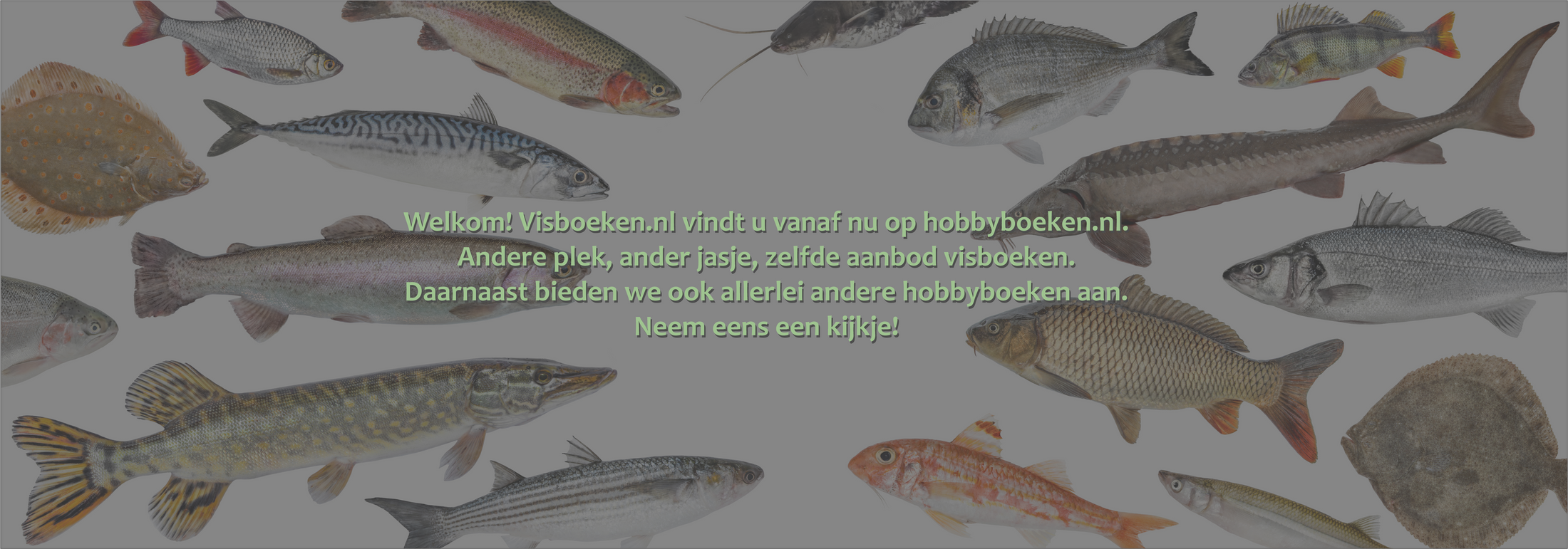Visboeken