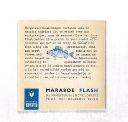 Hengelsport in Kort Bestek ( 1967 )