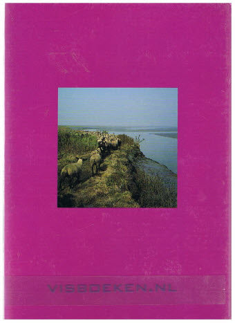 Oog in Oog met Zeeland