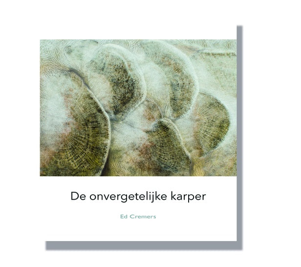 De onvergetelijke karper