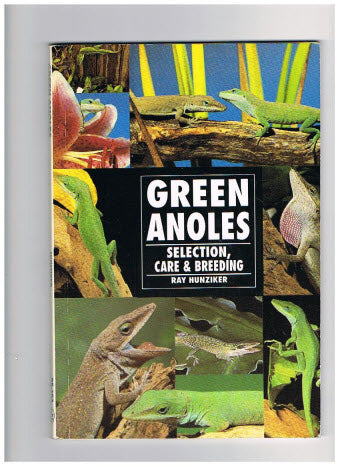 Green Anoles -- Selection, Care & Breeding