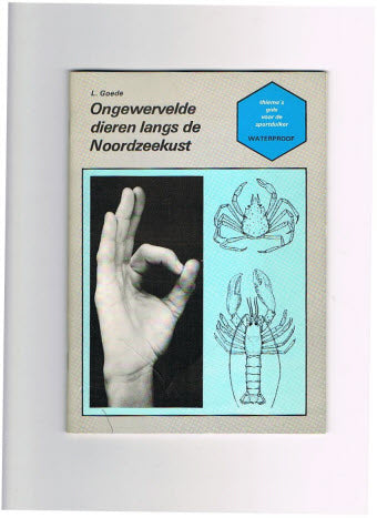 Ongewervelde Dieren Langs de Noordzeekust