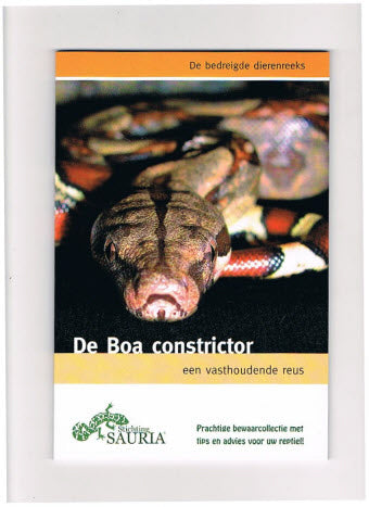 De Boa Constrictor -- Een vasthoudende Reus