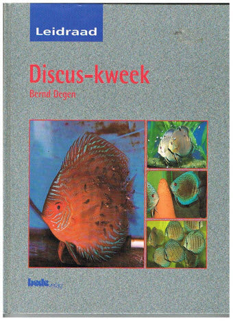 Discus-kweek