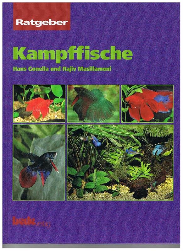 Kampffische