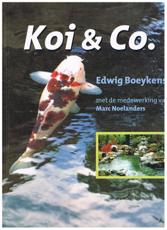 Koi & Co