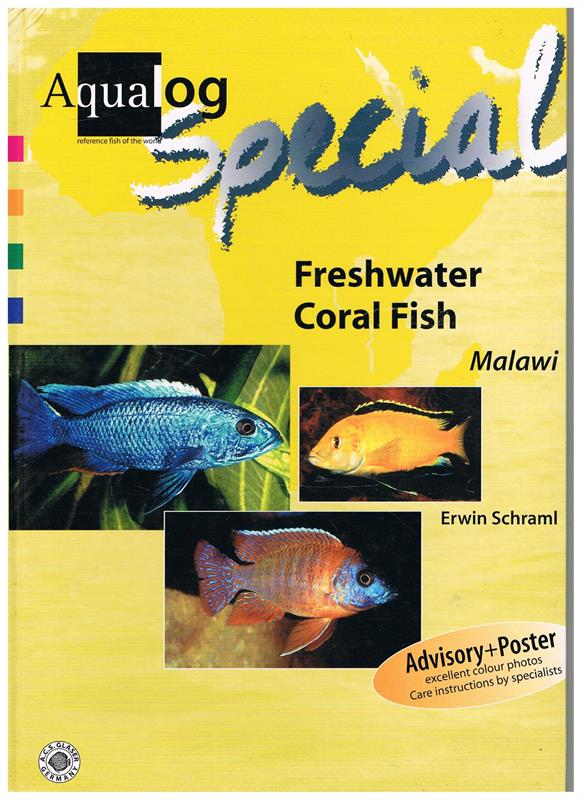 Freshwater Coral Fish Malawi