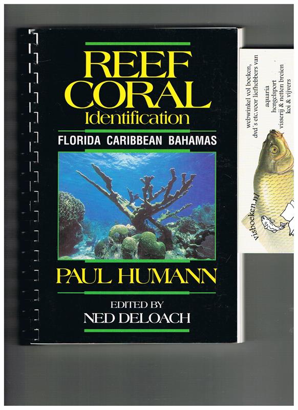 Reef Coral Identification - Florida Caribbean Bahamas