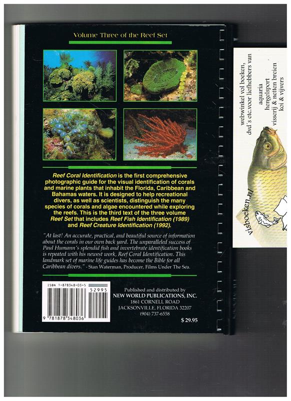 Reef Coral Identification - Florida Caribbean Bahamas