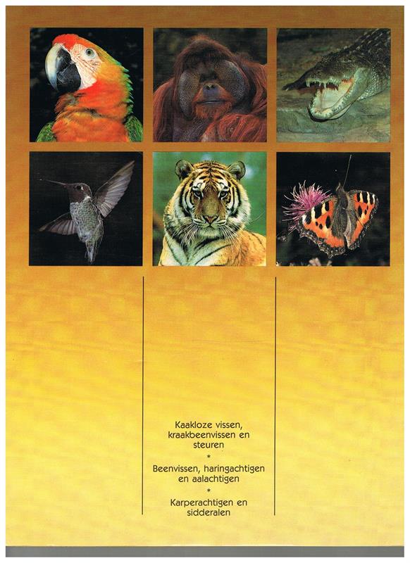 De Geheimen van het Dierenrijk - Vissen 1