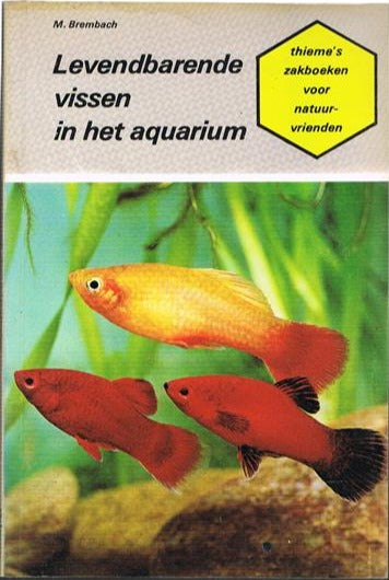 Levendbarende Vissen in het Aquarium