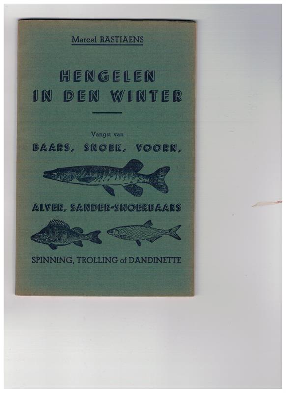 Hengelen in den Winter