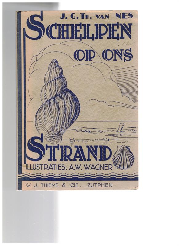 Schelpen op ons strand ( 1935 )