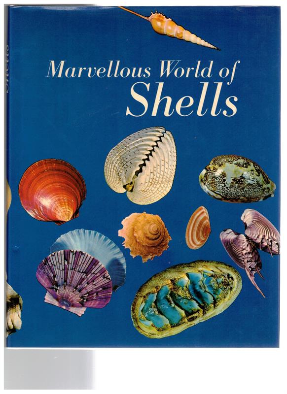 Marvellous World of Shells