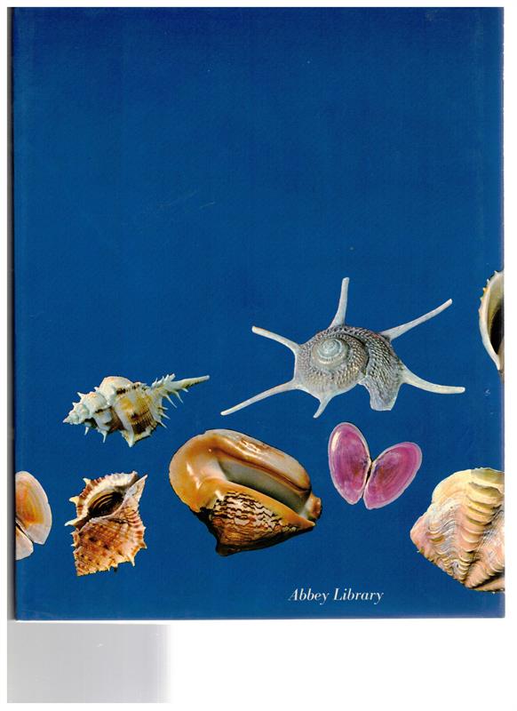 Marvellous World of Shells