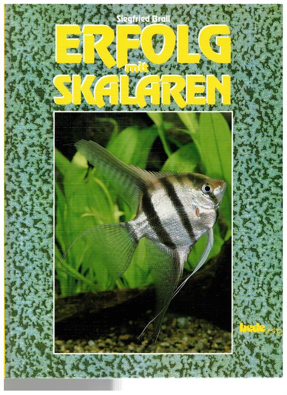 Erfolg mit Skalaren