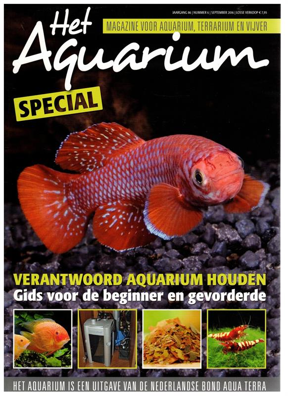 Gids voor aquarium houden - Beginners & gevordenden