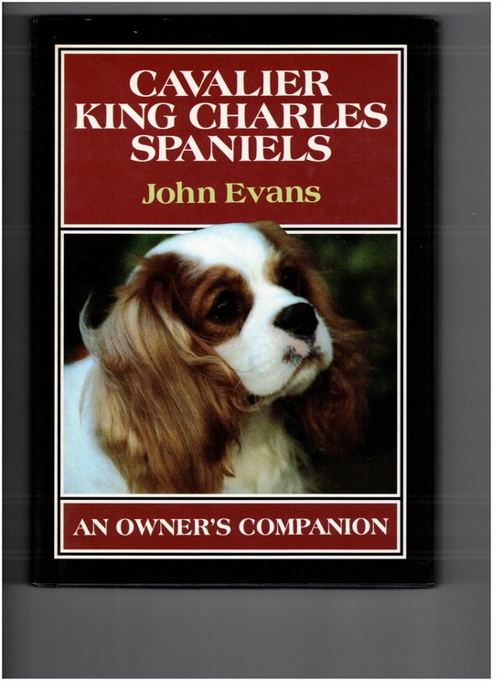 Cavalier King Charles Spaniels