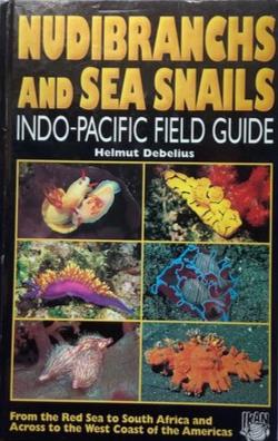 Nudibranchs and Sea Snails: Indo-Pacific Field Guide