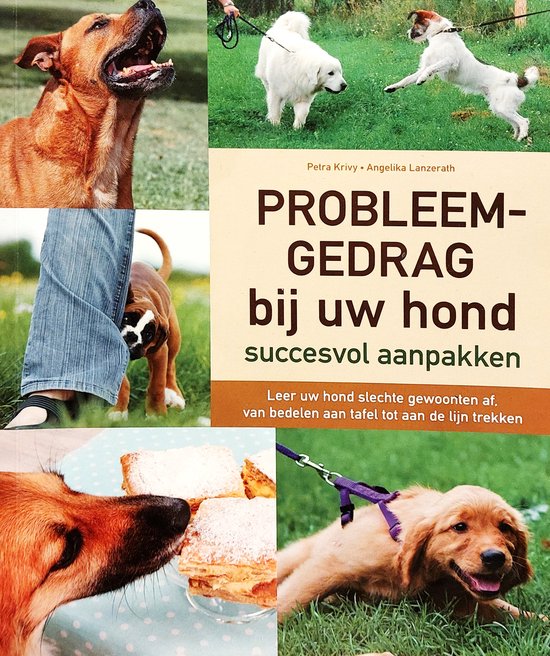 Probleemgedrag bij uw hond succesvol aanpakken