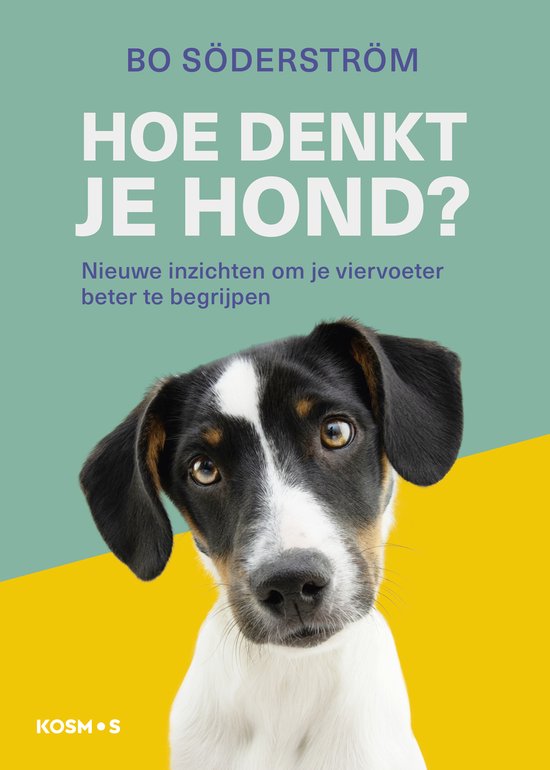Hoe denkt je hond? Nieuwe inzichten om je viervoeter beter te begrijpen