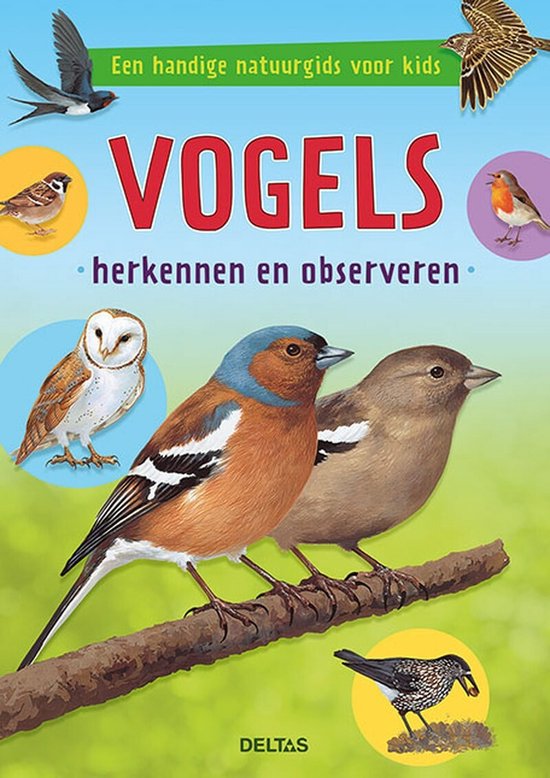 Vogels herkennen en observeren  --  Een handige natuurgids voor kids