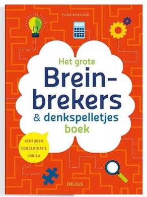Het grote breinbrekers en denkspelletjes boek