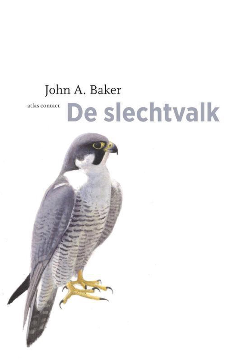 De vogelserie - De slechtvalk
