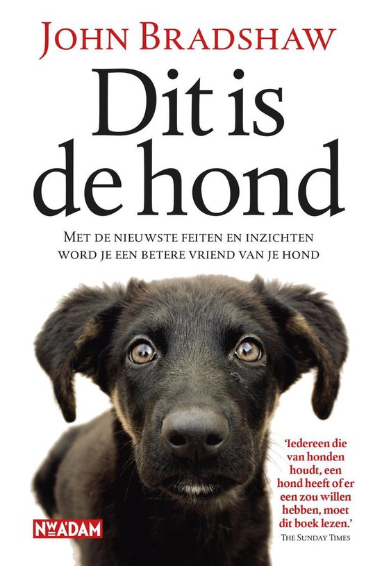 Dit is de hond Met de nieuwste feiten en inzichten word je een betere vriend van je hond