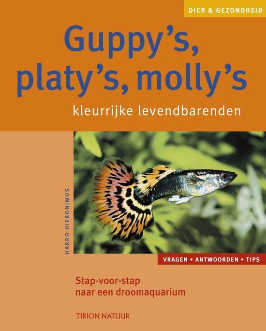 Guppy's Platy's, Molly's, kleurrijke levendbarende