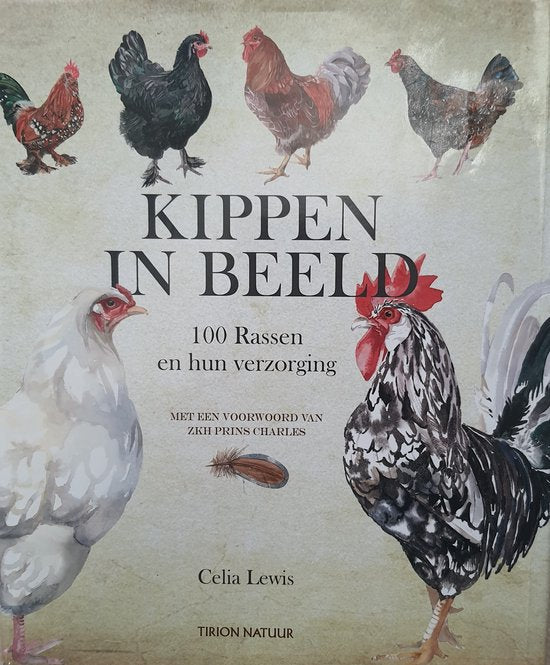 Kippen in Beeld  --  kippen aanschaffen - kippen houden