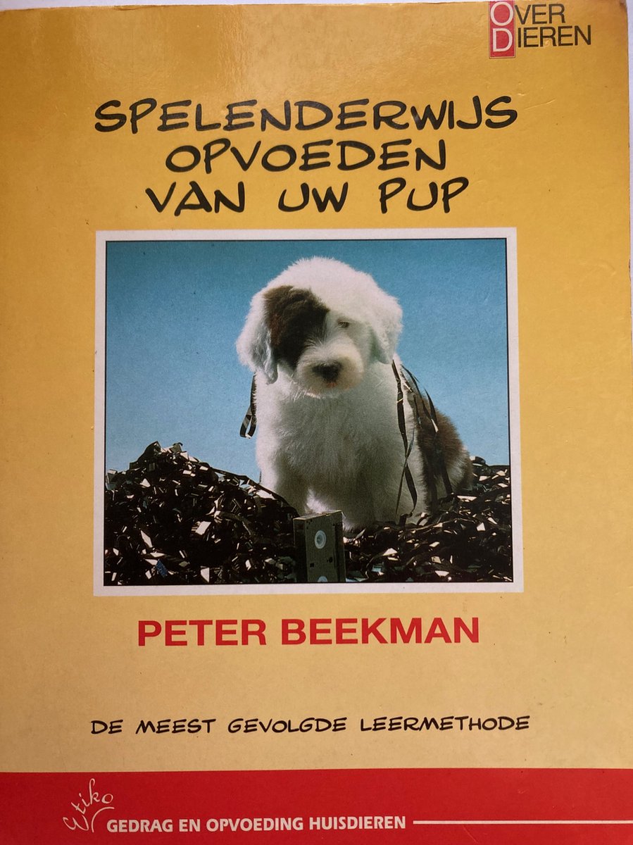 Spelenderwijs opvoeden van uw pup