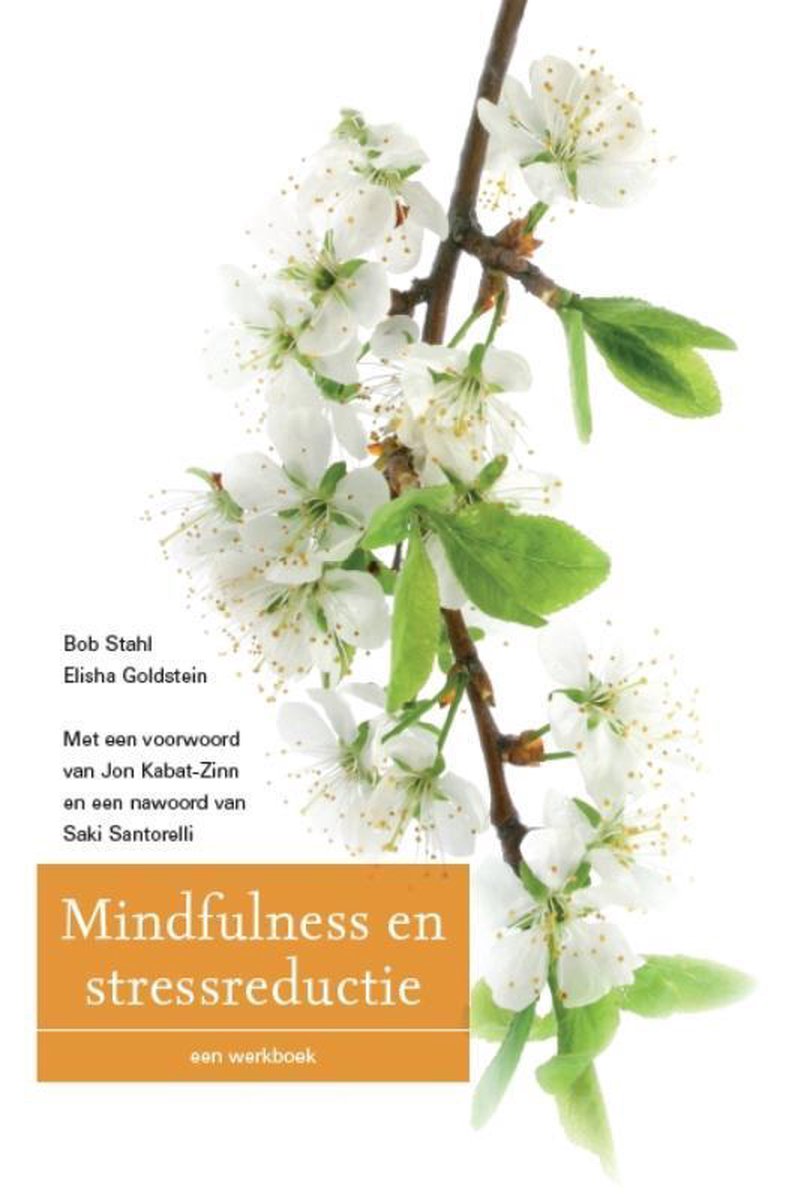 Mindfulness en stressreductie --  een werkboek