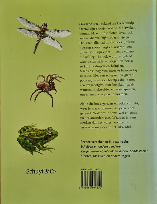 Salamanders Snoeken Ea Slootbewoners