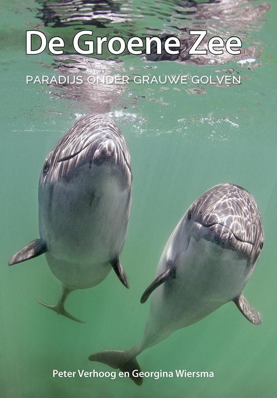 De Groene Zee - paradijs onder grauwe golven