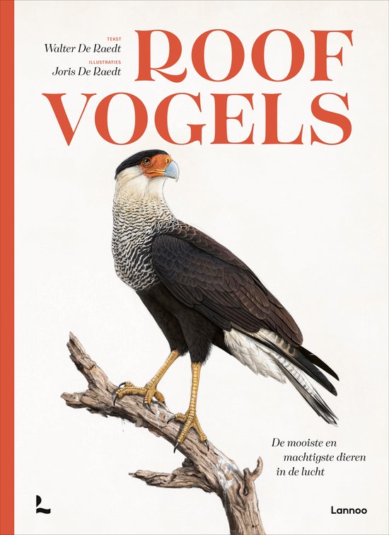 Roofvogels  --  De mooiste en machtigste dieren in de lucht
