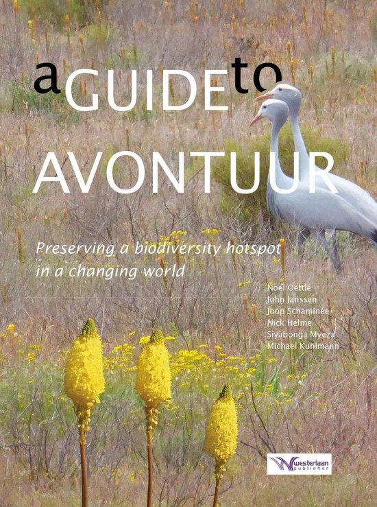 A Guide to Avontuur
