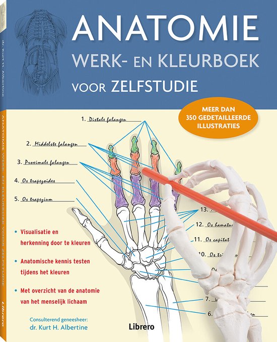 Anatomie werk en kleurboek voor zelfstudie Meer dan 350 gedetailleerde illustraties