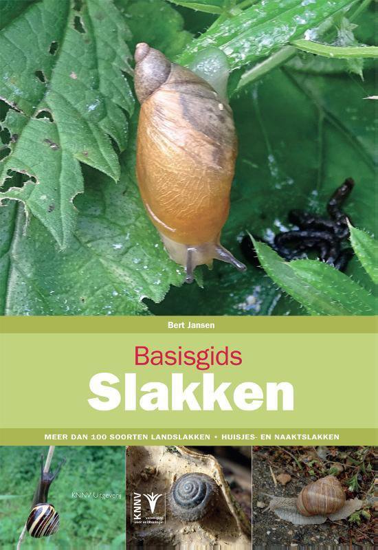 Basisgids - Slakken meer dan 100 soorten landslakken - huisjes- en naaktslakken
