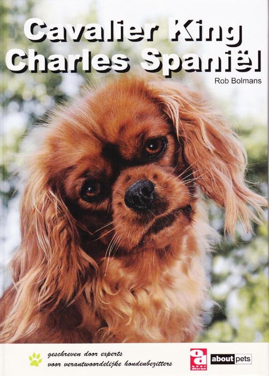 Over Dieren - Cavalier King Charles Spaniël