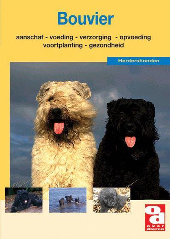 Bouvier