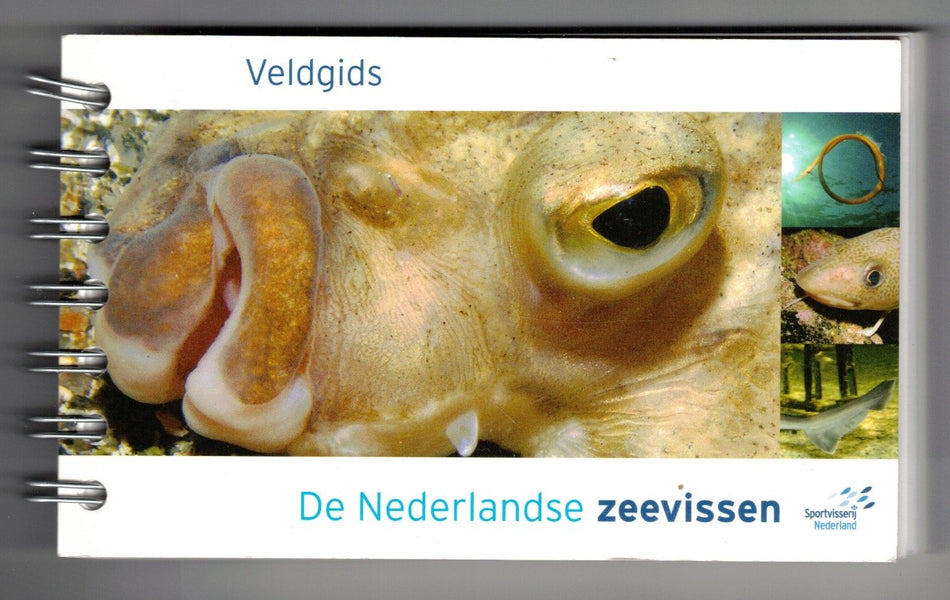 De Nederlandse Zeevissen - Veldgids
