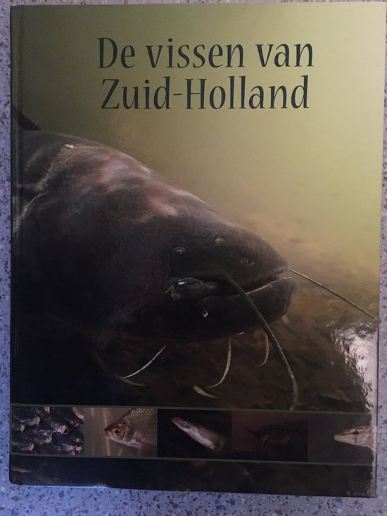 De vissen van Zuid-Holland