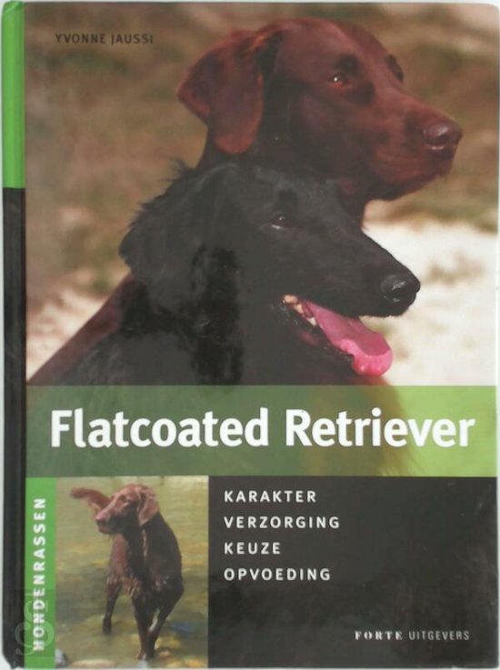 Flatcoated retriever
