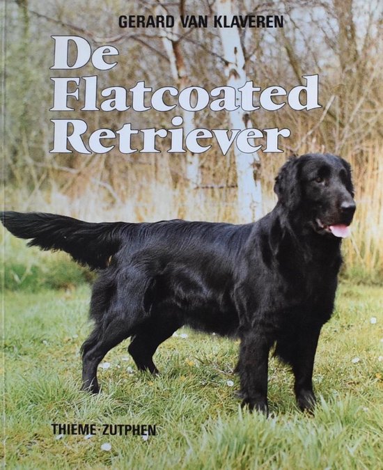 Flatcoated retriever