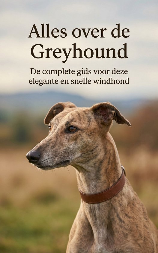 Alles over de Greyhound  --  De complete gids voor deze elegante en snelle windhond