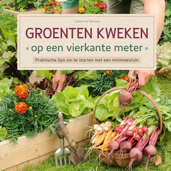 Groenten kweken op een vierkante meter  --  Praktische tips om te starten met een minimoestuin