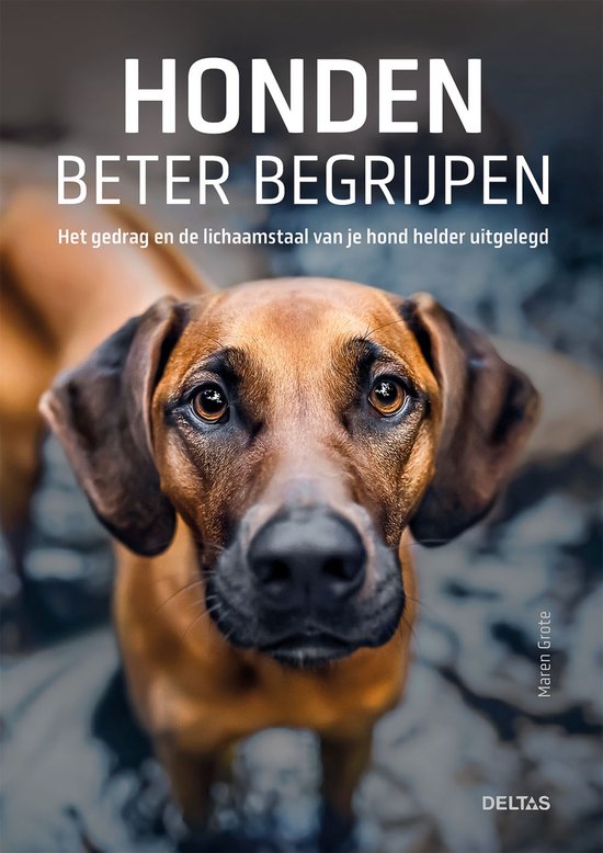 Honden beter begrijpen  --  Het gedrag en de lichaamstaal van je hond helder uitgelegd