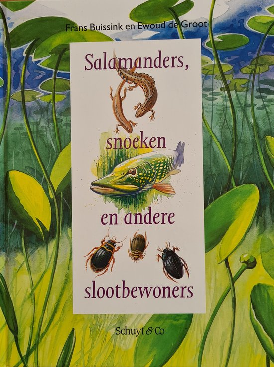 Salamanders Snoeken Ea Slootbewoners