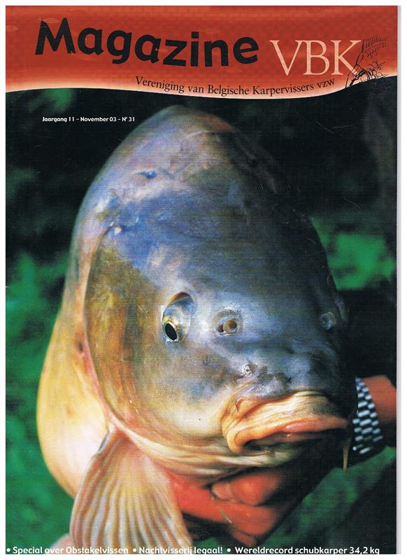 Magazine VBK Nr. 31